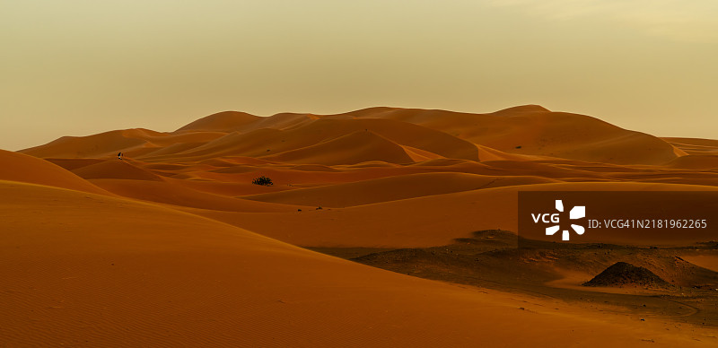 沙漠的美丽景色图片素材