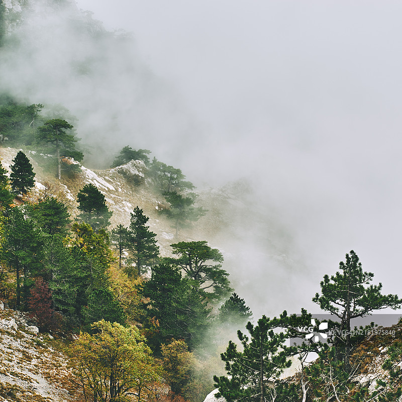 山顶被雾笼罩图片素材