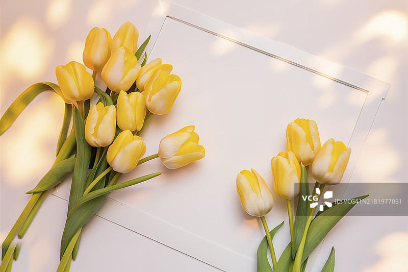 春季构图，黄色郁金香花朵，浅色背景上的相框图片素材