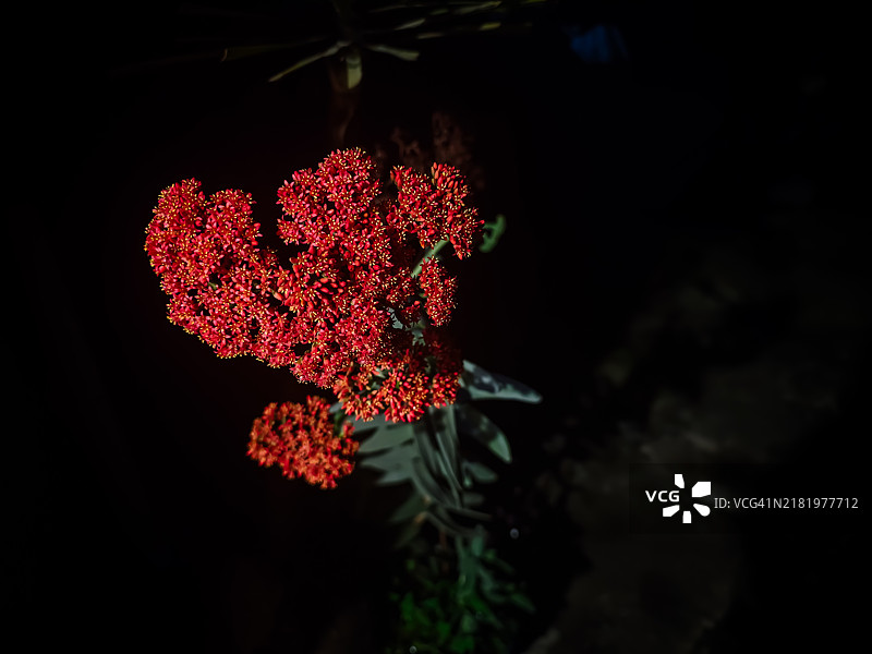 一个人越高，他在那些无法飞翔的人眼中显得越渺小。——弗里德里希·尼采图片素材