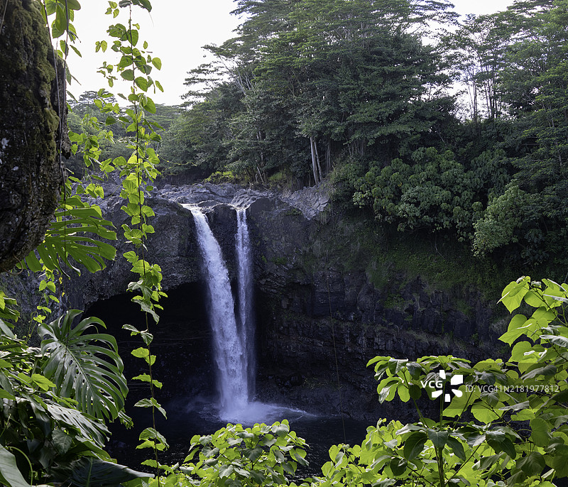 夏威夷森林中的瀑布美景， 美国图片素材