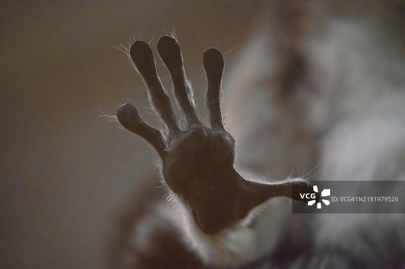 人手特写图片素材