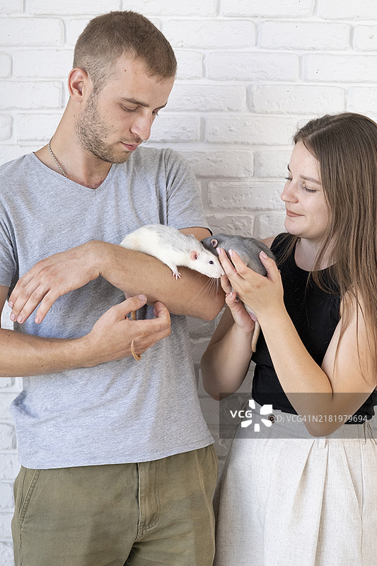 一对情侣抱着两只可爱的宠物老鼠图片素材