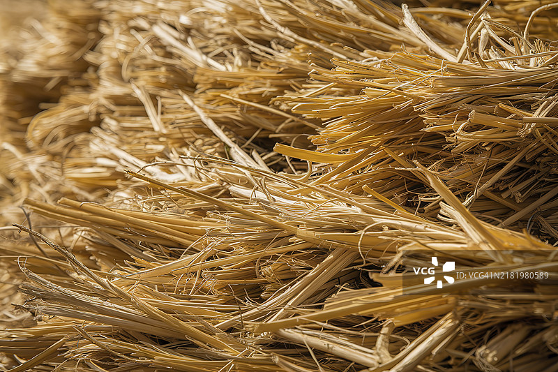 一堆金色稻草或干草的特写视图，比利时图片素材