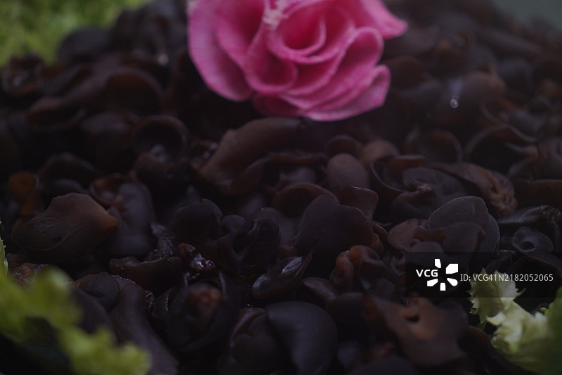 耳朵菌图片素材