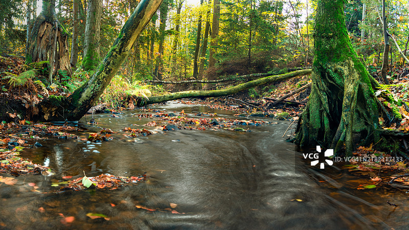 秋季森林中的湖泊美景图片素材
