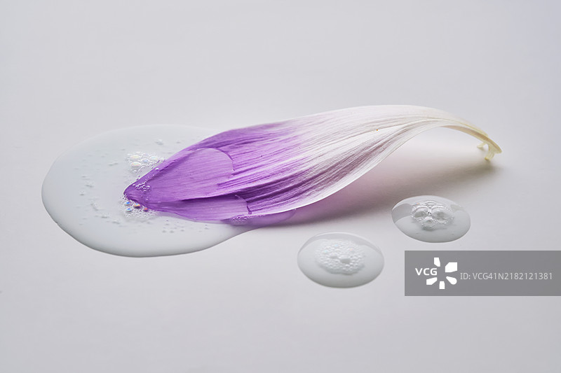 一滴血清落在紫色花瓣上图片素材