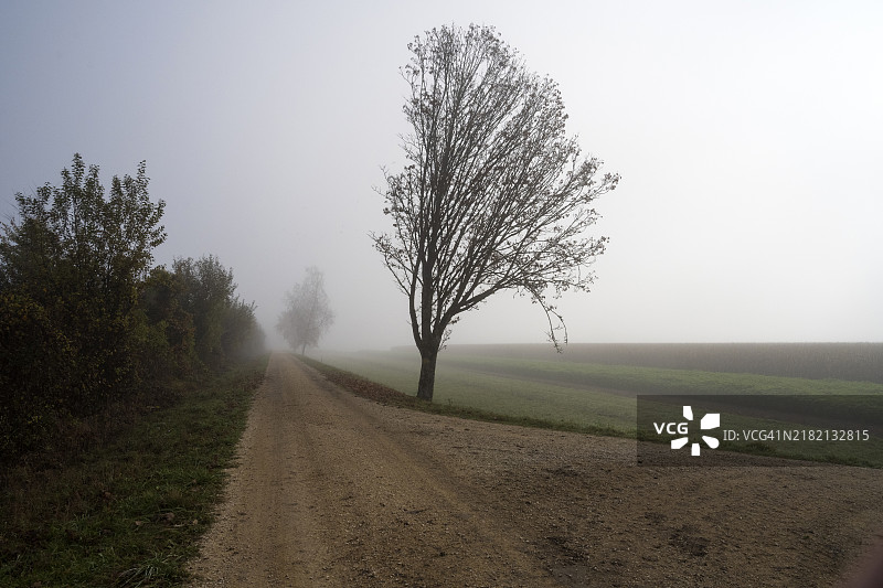 哈格内克附近的乡村道路和乡村景色图片素材
