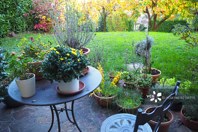 带花盆的露台桌，桌子，绿色草地花园场景图片素材