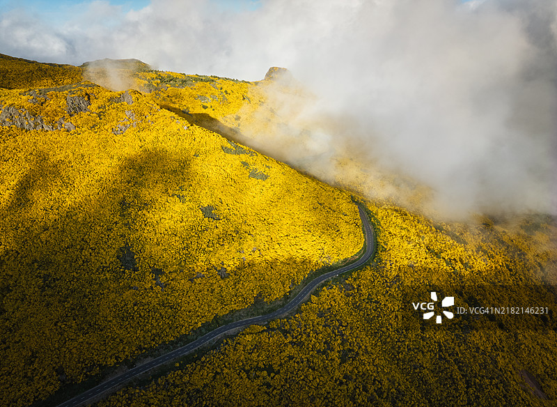 葡萄牙阿里埃罗山附近的金雀花盛开灌木丛中的道路鸟瞰图图片素材