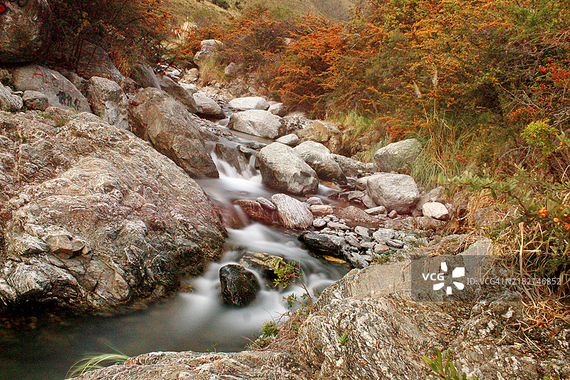 森林中河流穿过岩石的美丽景色图片素材