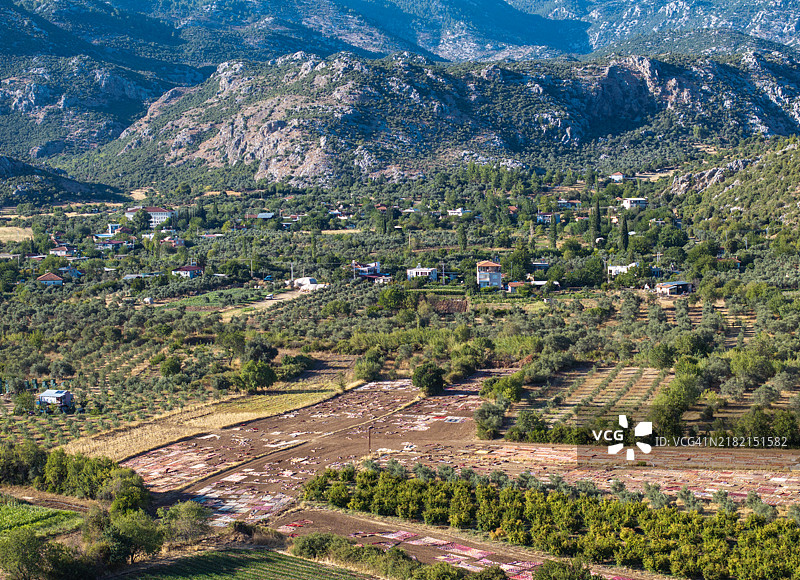 地毯般的田野图片素材