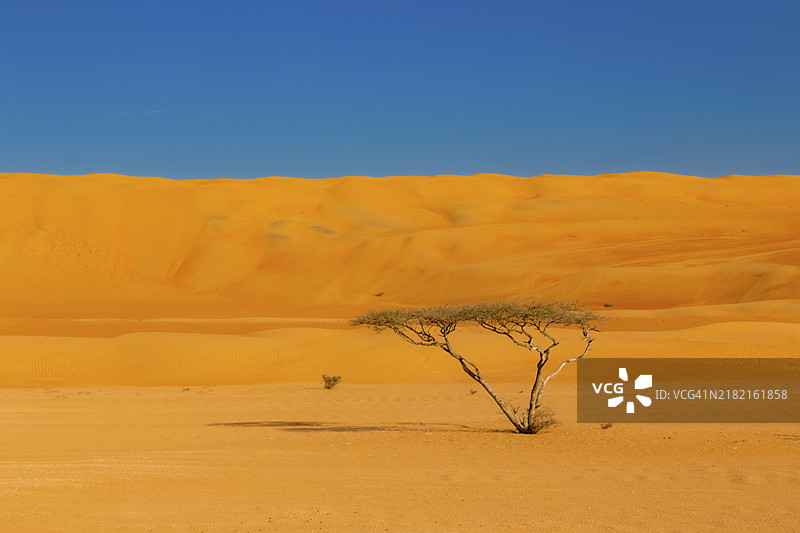阿曼最大的沙漠，瓦希巴沙丘（Ramlat al-Wahiba）或沙尔基亚沙丘（Sharqiya Sands）图片素材