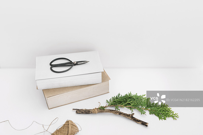 剪刀、两本书和（西洋杉）树枝线轴，白色背景图片素材