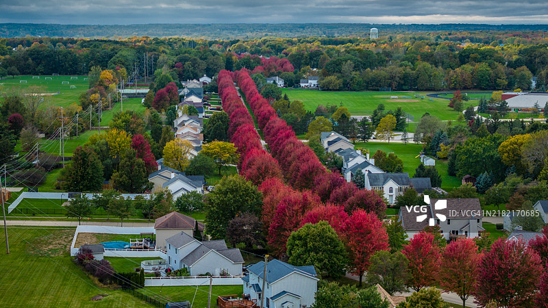高角度俯瞰树木和建筑物与天空的景象，美国，USA图片素材