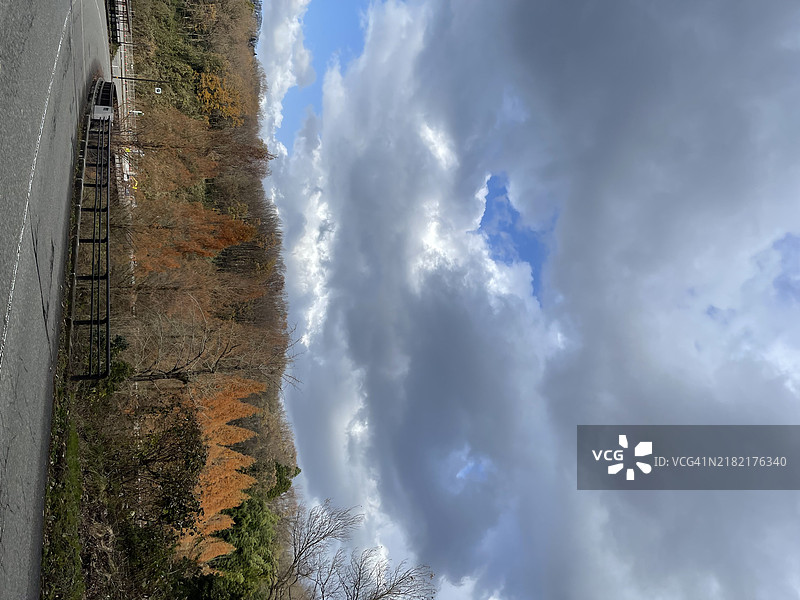 树木旁的道路风景与天空相映成趣图片素材