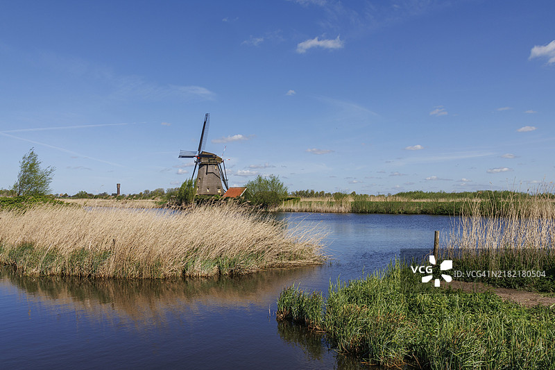 风车矗立在河岸边，四周被芦苇和草丛环绕，蓝天清澈，许多历史悠久的风车坐落在田野中的河流旁，位于荷兰的金德代克。图片素材