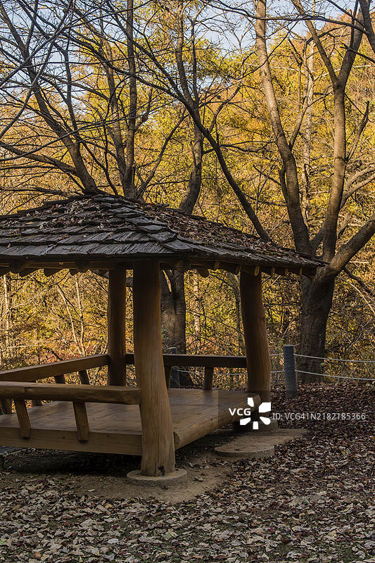 秋日下午的荒野公园中的凉亭图片素材