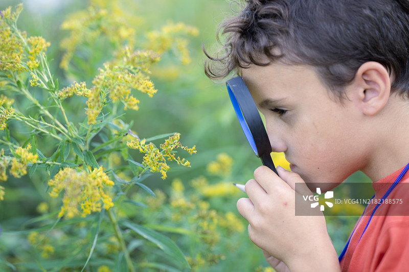 仔细观察图片素材