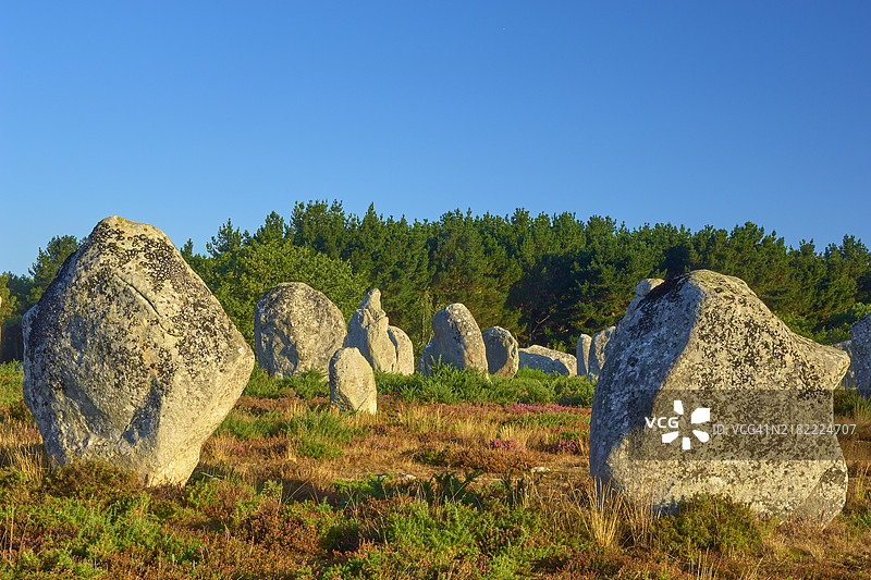 卡尔纳克的巨石阵，摩尔比昂，基贝隆，布列塔尼，法国，欧洲图片素材