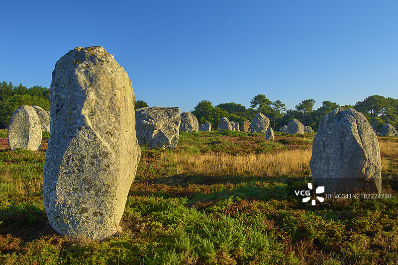 卡尔纳克的巨石阵，摩尔比昂，基贝隆，布列塔尼，法国，欧洲图片素材