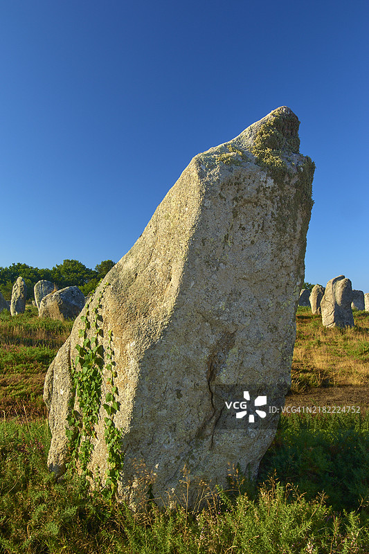 卡尔纳克的巨石阵，摩尔比昂，基贝隆，布列塔尼，法国，欧洲图片素材