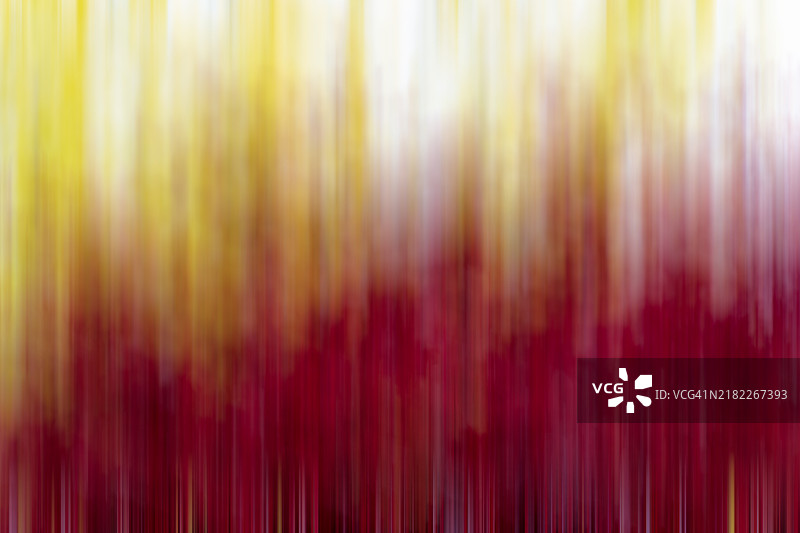 红色、黄色和白色的抽象垂直色条图片素材