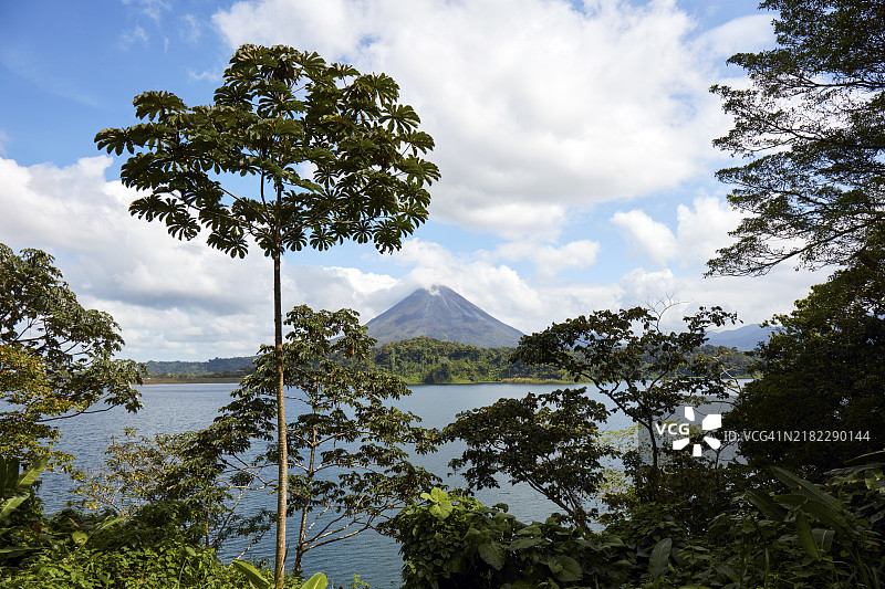 哥斯达黎加的阿雷纳尔湖和阿雷纳尔火山图片素材