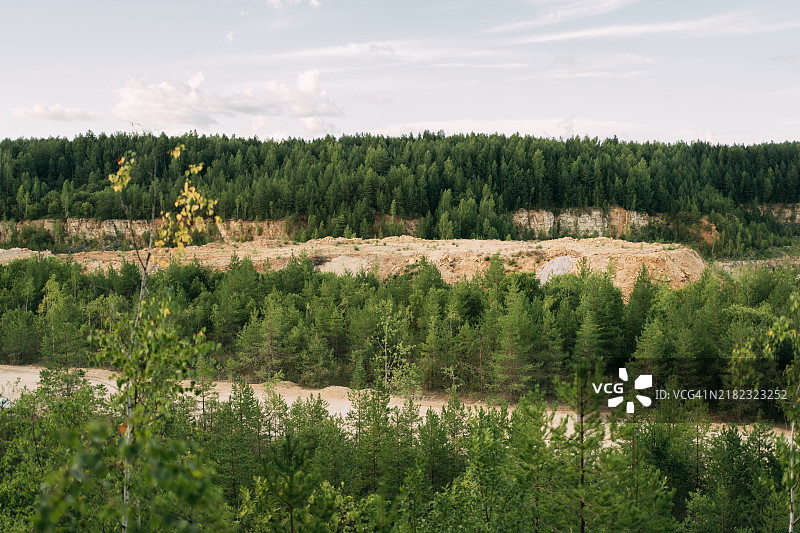 山上的森林图片素材