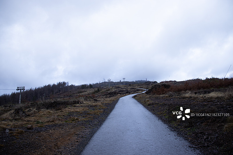 冬季的沥青道路没有雪，左侧是覆盖着雪的森林。图片素材