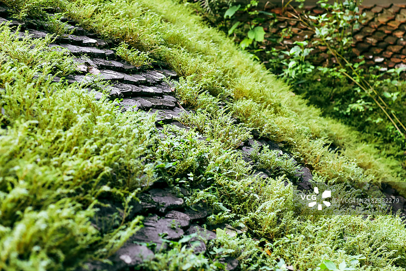 瓦屋顶上的层叠波浪形无缝图案图片素材