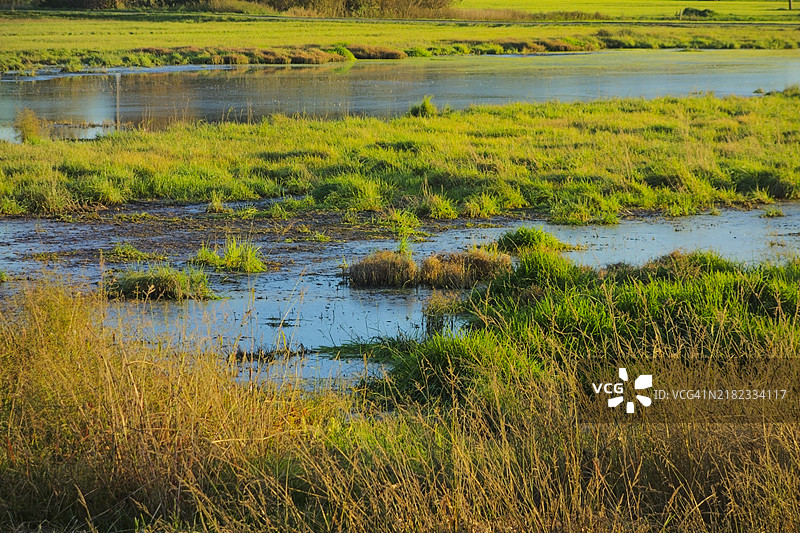 农田洪水图片素材