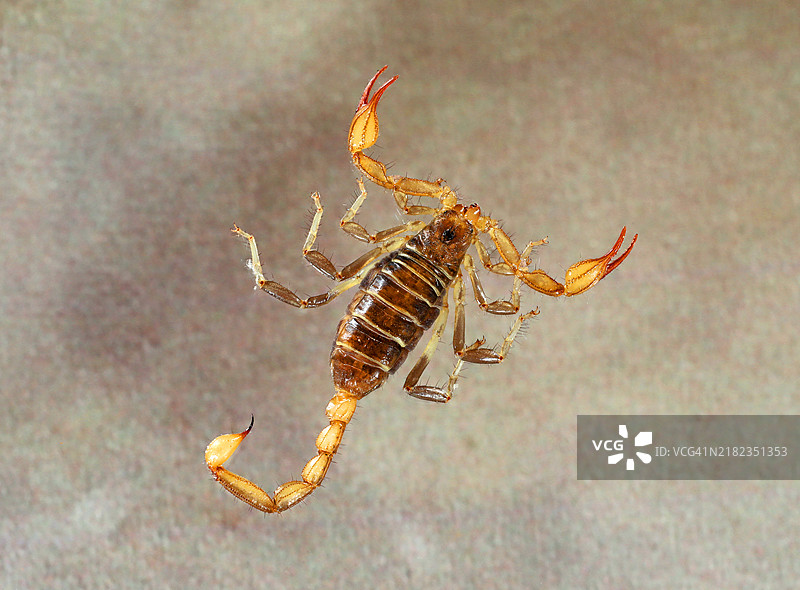 俄勒冈州本德的秋天图片素材