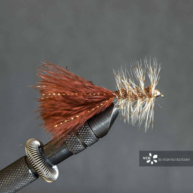 绑制飞蝇，毛虫飞蝇图片素材