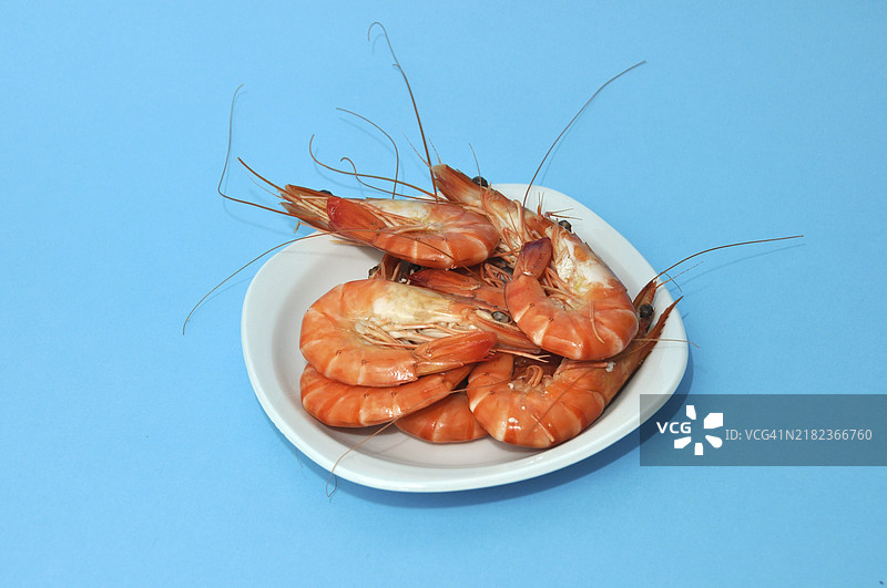 热带虾在蓝色背景上图片素材