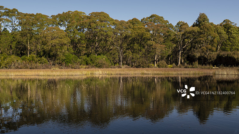 塔斯马尼亚中央高地的圣克莱尔湖泻湖图片素材