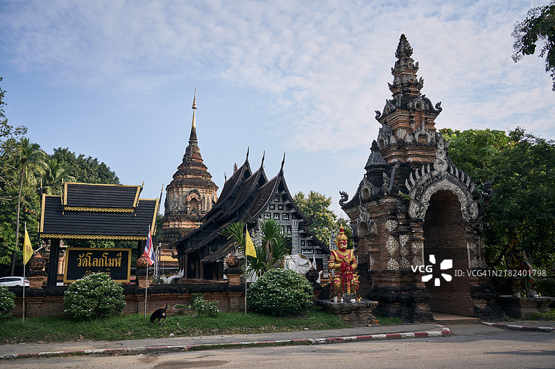 瓦特洛克莫里图片素材