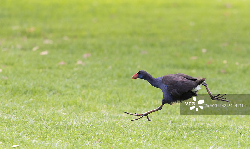 匆忙中图片素材
