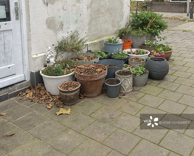 各种形状和大小的石盆里装满了花和土壤图片素材