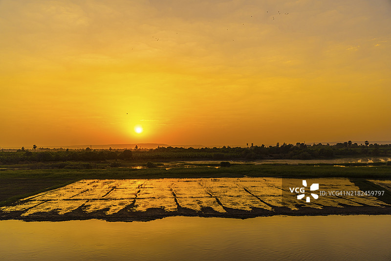 尼罗河游船日落时分的农田。埃及。从卢克索航行到阿斯旺，欣赏传统村庄和尼罗河的自然风光。图片素材