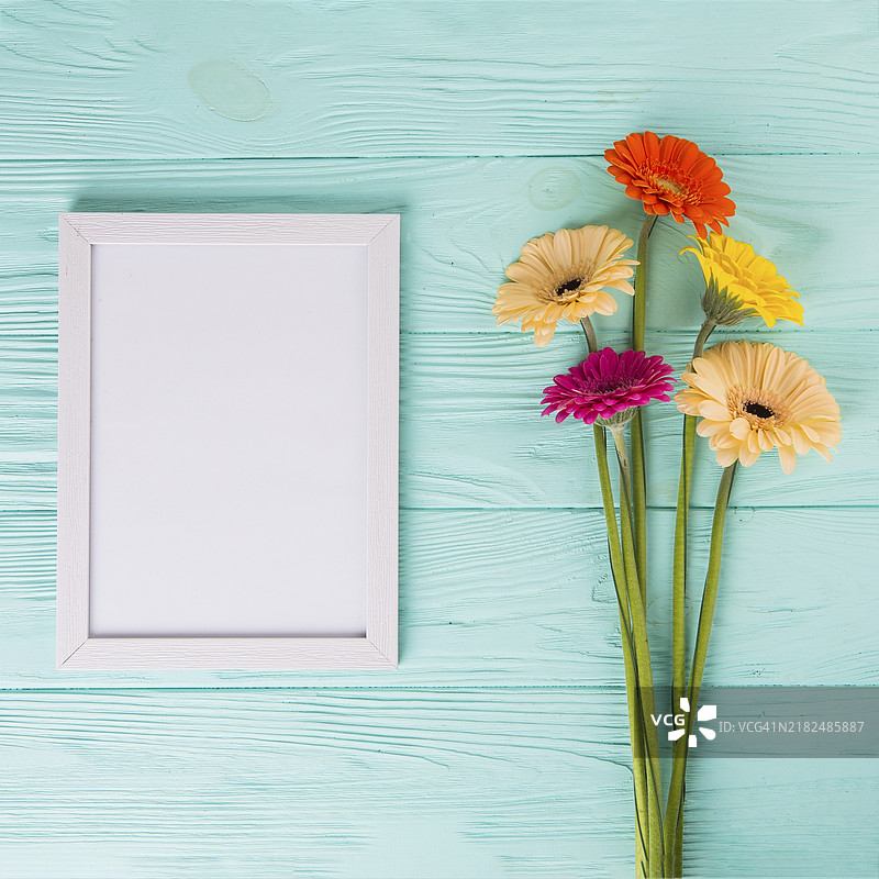 无框桌上的非洲菊花图片素材