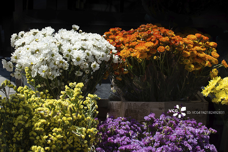 盛开的美丽多彩自然花卉作为花卉背景图片素材