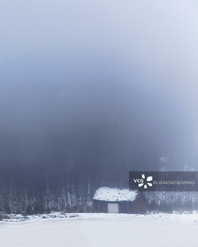 冬季的古老木屋，背景是雾气弥漫的雪林图片素材