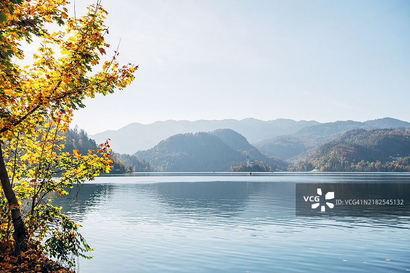 金色秋天的布莱德湖风景图片素材