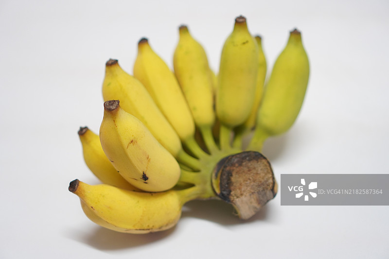 葫芦蔬菜图片素材