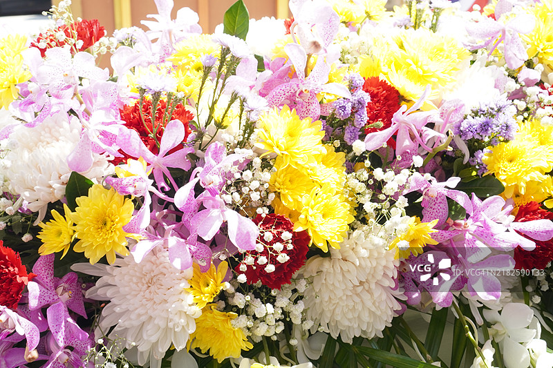 花卉背景图片素材