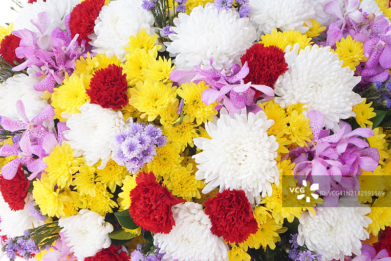 红色康乃馨、黄色非洲菊、紫色兰花花卉背景图片素材