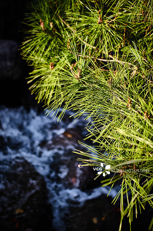 南山谷公园的韩屋村秋天图片素材