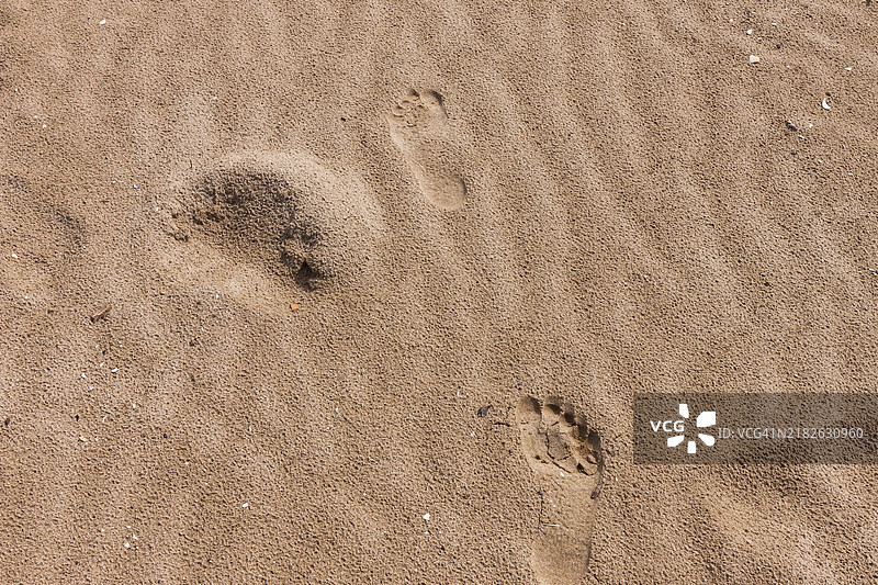 沙滩上的人类足迹图片素材
