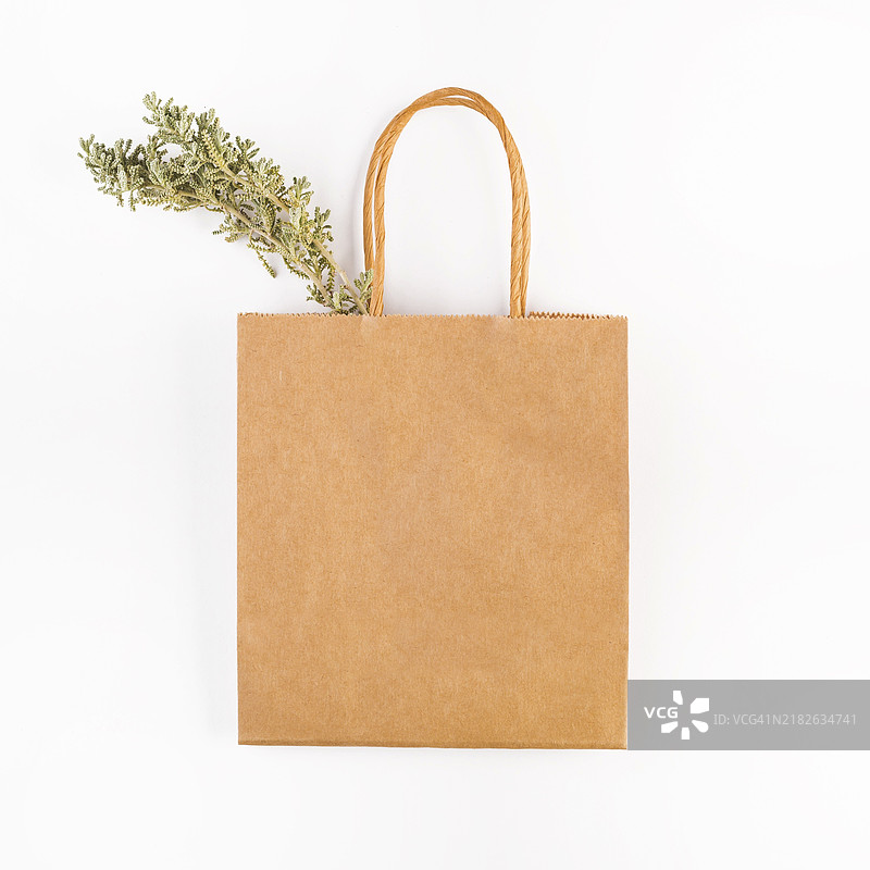 纸袋干树枝图片素材